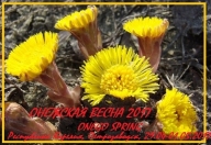Онежская весна 2017 Онежская весна 2017